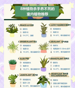 小众送妈妈的花有哪些花