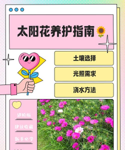 小众送妈妈的花有哪些花