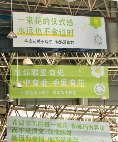 小众送妈妈的花有哪些花