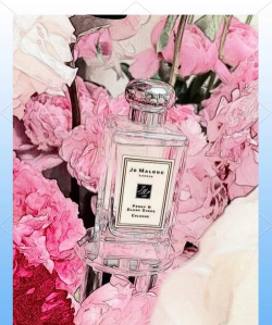 小众送妈妈的花有哪些花