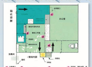 小众送妈妈的花有哪些花