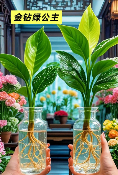 小众送妈妈的花有哪些花