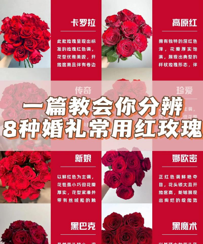 小众送妈妈的花有哪些花