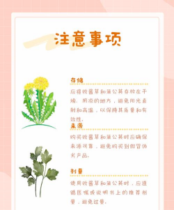 败酱草和蒲公英的区别