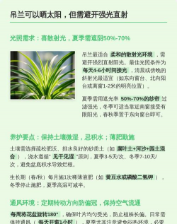 小众送妈妈的花有哪些花