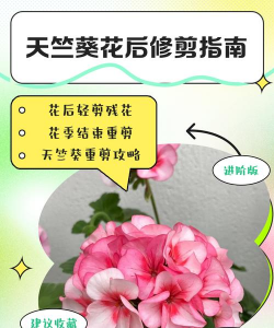 小众送妈妈的花有哪些花