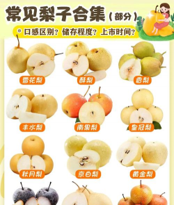 香水梨和南果梨区别
