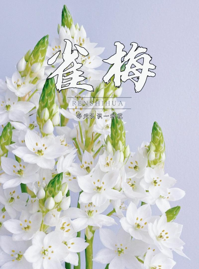 小众送妈妈的花有哪些花