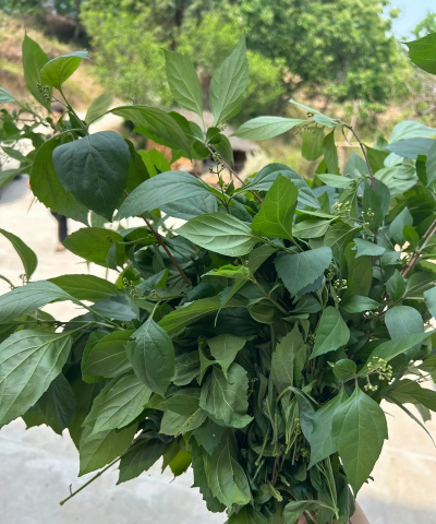 小众送妈妈的花有哪些花