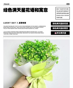 小众送妈妈的花有哪些花