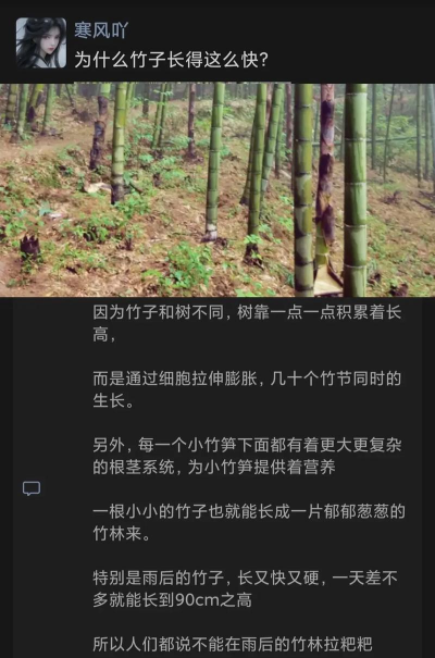 小众送妈妈的花有哪些花