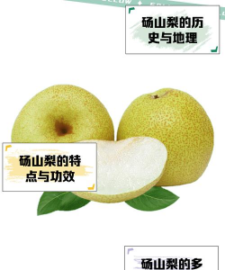 砀山梨属于什么梨