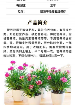 小众送妈妈的花有哪些花