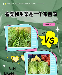 生菜和春菜的区别