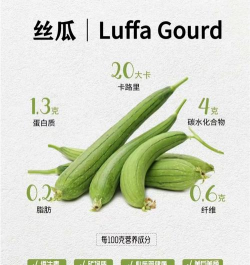 丝瓜什么季节吃