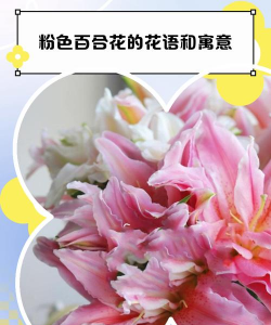 小众送妈妈的花有哪些花
