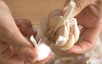 小众送妈妈的花有哪些花