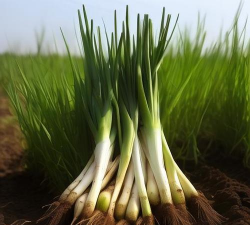 小众送妈妈的花有哪些花