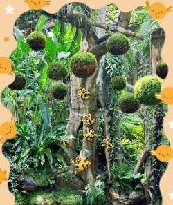 小众送妈妈的花有哪些花