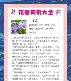 小众送妈妈的花有哪些花