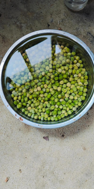 小众送妈妈的花有哪些花