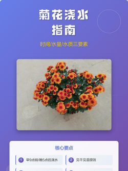 小众送妈妈的花有哪些花