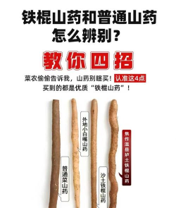 铁棍山药和普通山药的区别