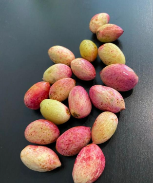 小众送妈妈的花有哪些花