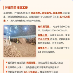 小众送妈妈的花有哪些花