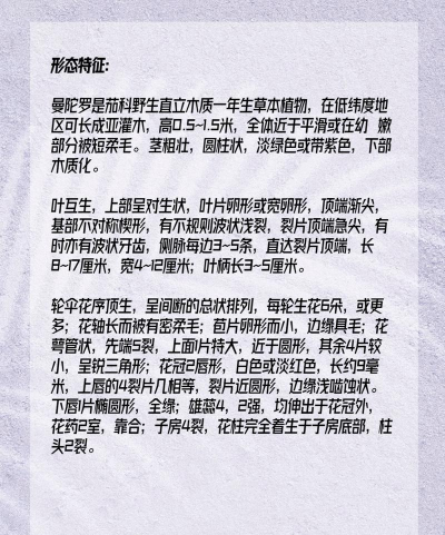 小众送妈妈的花有哪些花