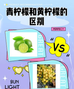青柠檬和黄柠檬的区别