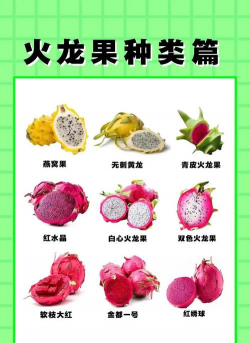 火龙果 火龙果百科