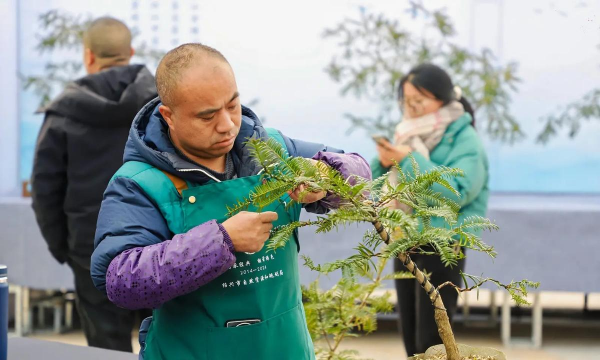 小众送妈妈的花有哪些花