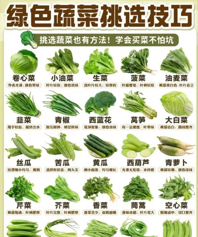 叶菜类蔬菜有哪些