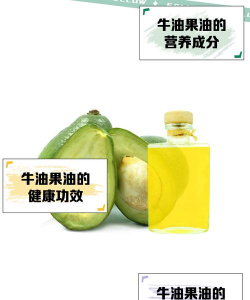 牛油果 牛油果百科