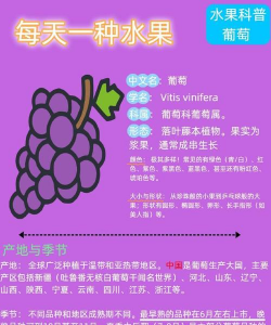 葡萄 葡萄百科