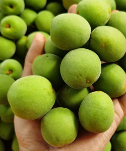 小众送妈妈的花有哪些花