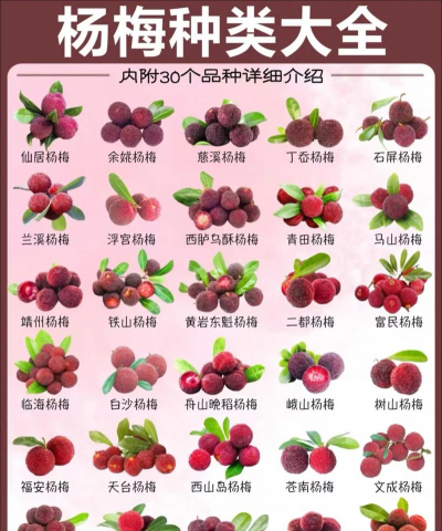 小众送妈妈的花有哪些花