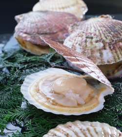 小众送妈妈的花有哪些花