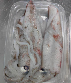 小众送妈妈的花有哪些花