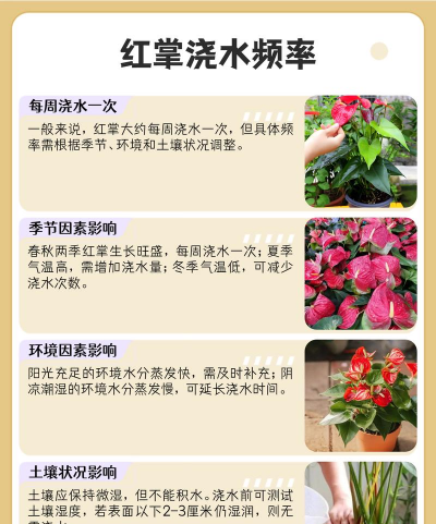 小众送妈妈的花有哪些花