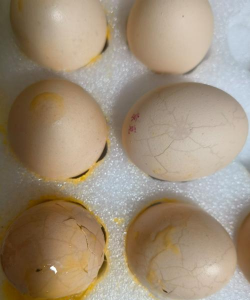 小众送妈妈的花有哪些花