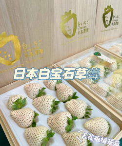 白宝石草莓