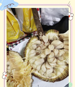 小众送妈妈的花有哪些花