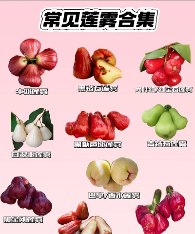 小众送妈妈的花有哪些花