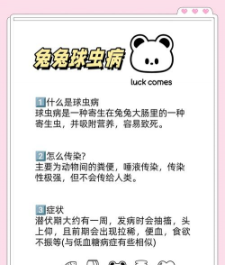 虫球病怎么预防