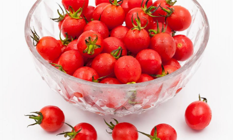 小众送妈妈的花有哪些花