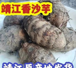 靖江香沙芋