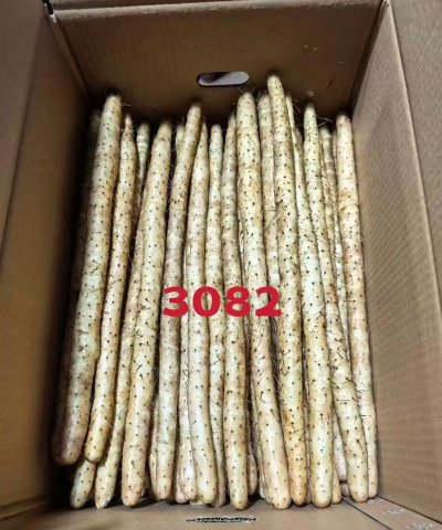 小白嘴白山药