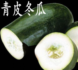 大青皮冬瓜